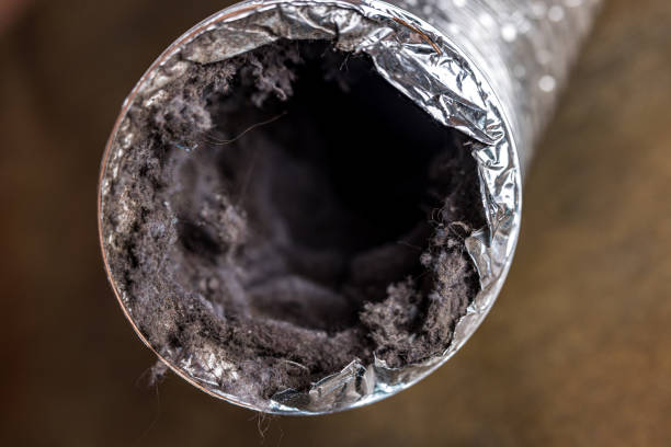 Best HVAC Duct Inspection Services  in Troy, MI