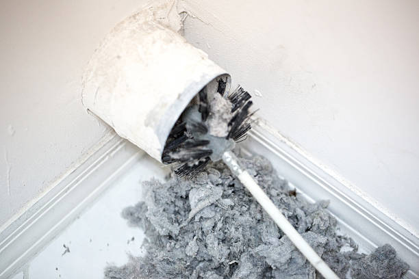 Best Dryer Vent Cleaning Services  in Troy, MI